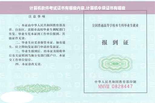 计算机软件考试证书有哪些内容,计算机中级证书有哪些