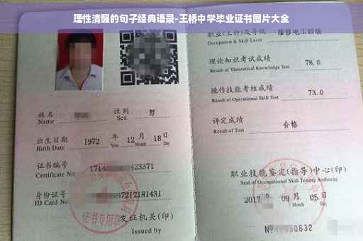 理性清醒的句子经典语录-王桥中学毕业证书图片大全
