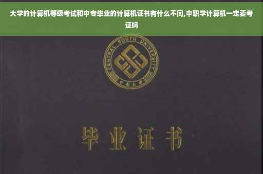 大学的计算机等级考试和中专毕业的计算机证书有什么不同,中职学计算机一定要考证吗