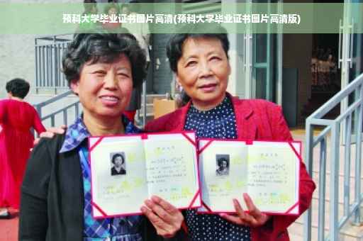 预科大学毕业证书图片高清(预科大学毕业证书图片高清版)