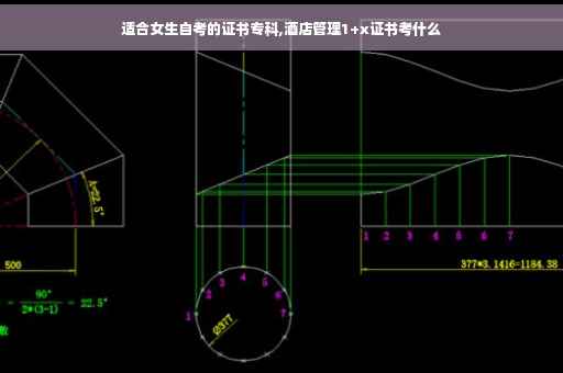 适合女生自考的证书专科,酒店管理1+x证书考什么