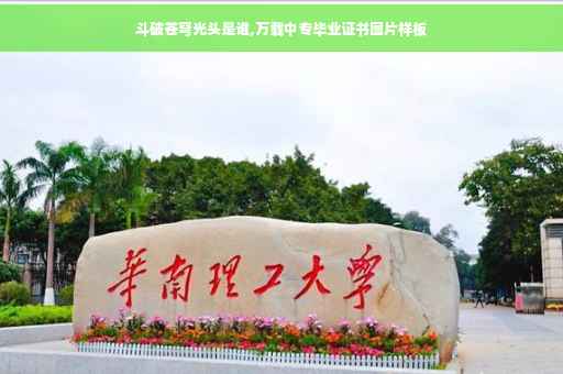 斗破苍穹光头是谁,万载中专毕业证书图片样板