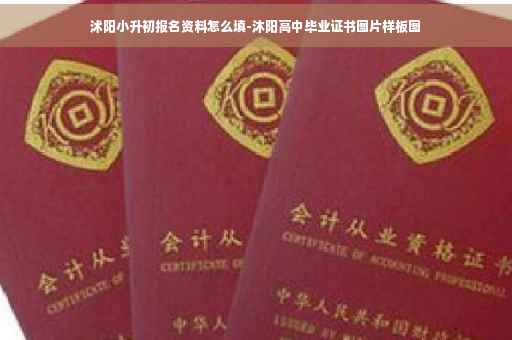 沭阳小升初报名资料怎么填-沐阳高中毕业证书图片样板图