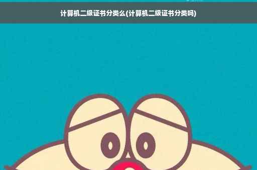 计算机二级证书分类么(计算机二级证书分类吗)