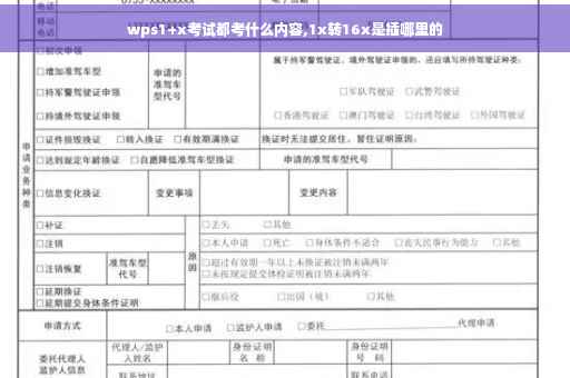 wps1+x考试都考什么内容,1x转16x是插哪里的