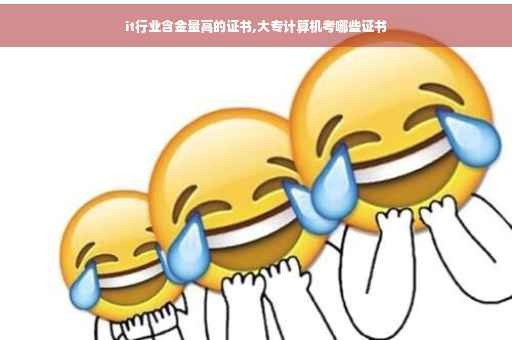 it行业含金量高的证书,大专计算机考哪些证书 it行业含金量高的证书,大专计算机考哪些证书