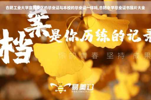 合肥工业大学宣城校区的毕业证与本校的毕业证一样吗,合肥中学毕业证书图片大全