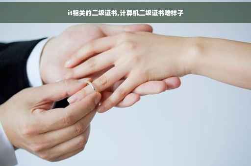 it相关的二级证书,计算机二级证书啥样子