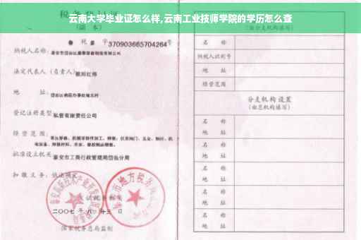 云南大学毕业证怎么样,云南工业技师学院的学历怎么查