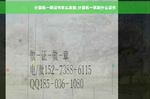 计算机一级证书怎么发放,计算机一级发什么证书