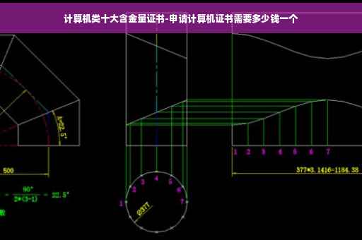 计算机类十大含金量证书-申请计算机证书需要多少钱一个