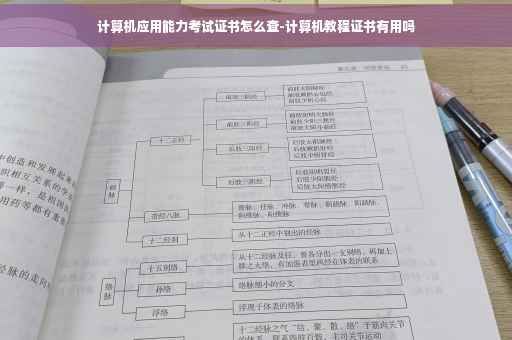 计算机应用能力考试证书怎么查-计算机教程证书有用吗