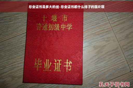 毕业证书是多大的纸-毕业证书都什么样子的图片啊