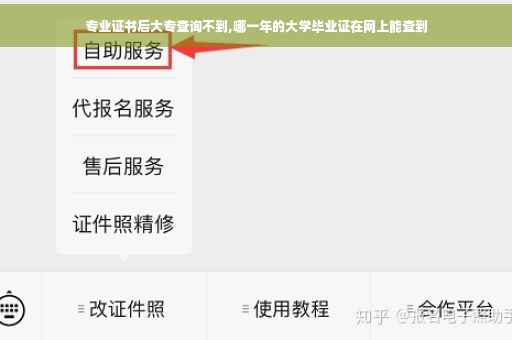 专业证书后大专查询不到,哪一年的大学毕业证在网上能查到