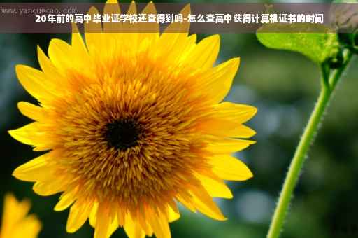 20年前的高中毕业证学校还查得到吗-怎么查高中获得计算机证书的时间