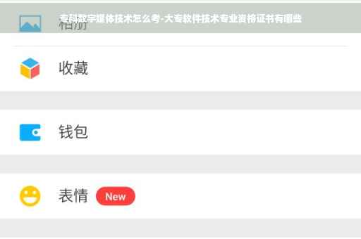 专科数字媒体技术怎么考-大专软件技术专业资格证书有哪些