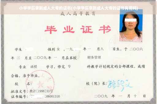 小学学历拿到成人大专的证书(小学学历拿到成人大专的证书有用吗)