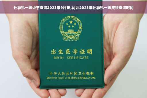 计算机一级证书查询2023年9月份,河北2023年计算机一级成绩查询时间