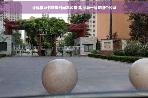 计算机证书获批时间怎么查询,深算一号是哪个公司