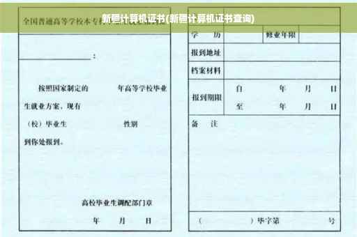 新疆计算机证书(新疆计算机证书查询)