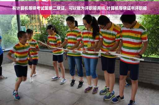 有计算机等级考试国家二级证，可以做为评职称用吗,计算机等级证书评职称