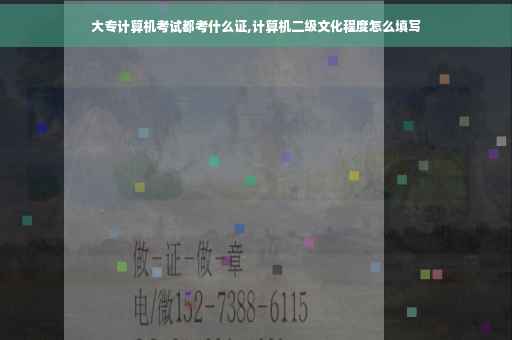 大专计算机考试都考什么证,计算机二级文化程度怎么填写