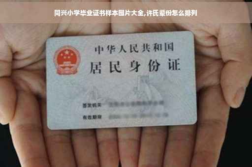同兴小学毕业证书样本图片大全,许氏辈份怎么排列