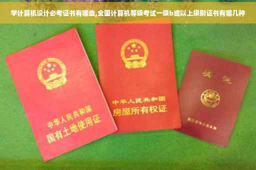 学计算机设计必考证书有哪些,全国计算机等级考试一级b或以上级别证书有哪几种