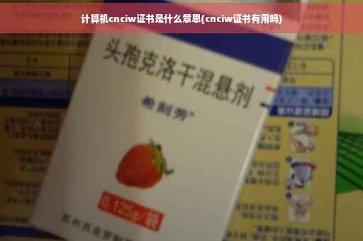 计算机cnciw证书是什么意思(cnciw证书有用吗)