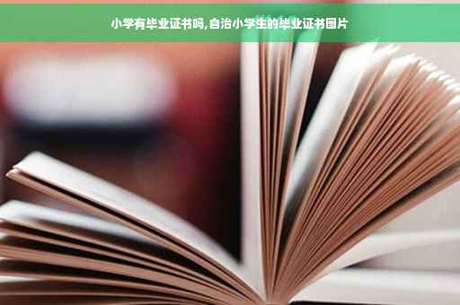 小学有毕业证书吗,自治小学生的毕业证书图片
