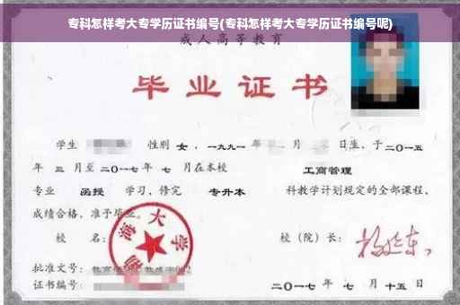 专科怎样考大专学历证书编号(专科怎样考大专学历证书编号呢)