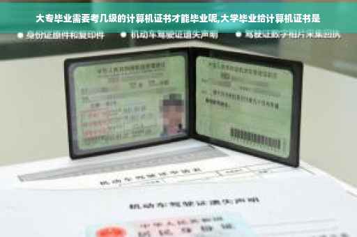 大专毕业需要考几级的计算机证书才能毕业呢,大学毕业给计算机证书是