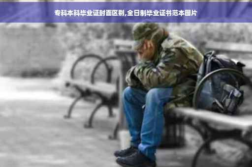 专科本科毕业证封面区别,全日制毕业证书范本图片