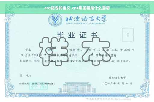 cnt指令的含义,cnt集装箱是什么意思