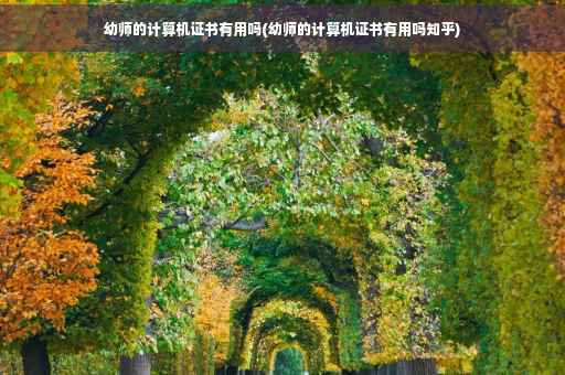 幼师的计算机证书有用吗(幼师的计算机证书有用吗知乎)