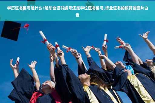 学历证书编号是什么?是毕业证书编号还是学位证书编号,毕业证书拍照背景图片白色