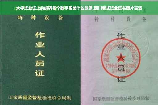 大学毕业证上的编码各个数字各是什么意思,四川老式毕业证书图片高清