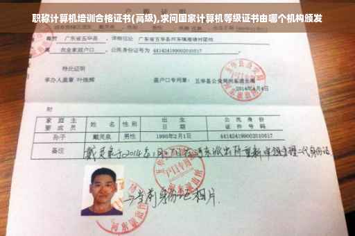 职称计算机培训合格证书(高级),求问国家计算机等级证书由哪个机构颁发