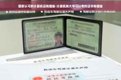 国家认可的计算机证有哪些-计算机类大学可以考的证书有哪些