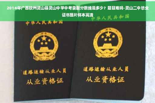 2014年广西钦州灵山县灵山中学中考录取分数线是多少？题目难吗-灵山二中毕业证书图片样本高清