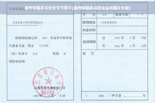 泰州学院本科毕业证书图片(泰州学院本科毕业证书图片大全)