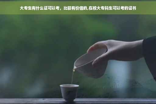 大专生有什么证可以考，比较有价值的,在校大专科生可以考的证书
