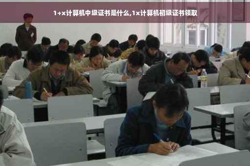 1+x计算机中级证书是什么,1x计算机初级证书领取