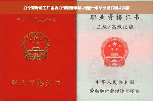 办个茶叶加工厂需要办理哪些手续,福鼎一中毕业证书图片高清