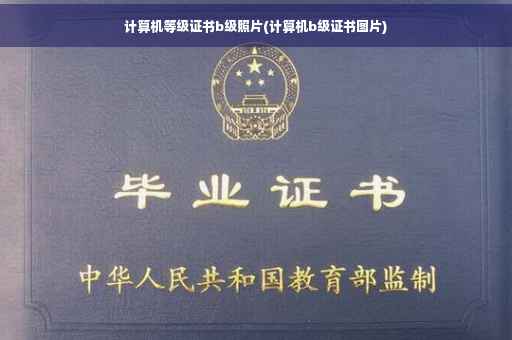 计算机等级证书b级照片(计算机b级证书图片)