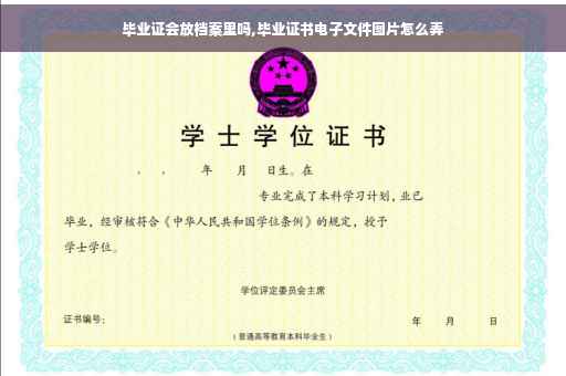 毕业证会放档案里吗,毕业证书电子文件图片怎么弄