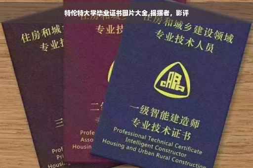 特伦特大学毕业证书图片大全,摇摆者，影评