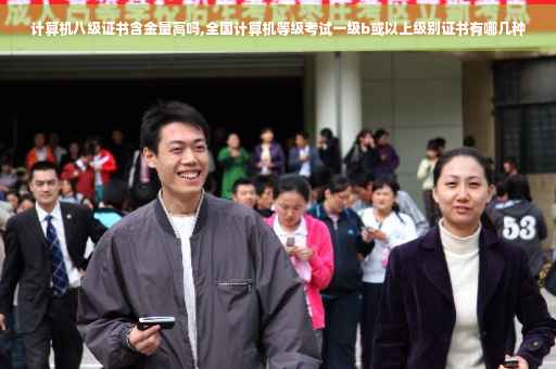 计算机八级证书含金量高吗,全国计算机等级考试一级b或以上级别证书有哪几种