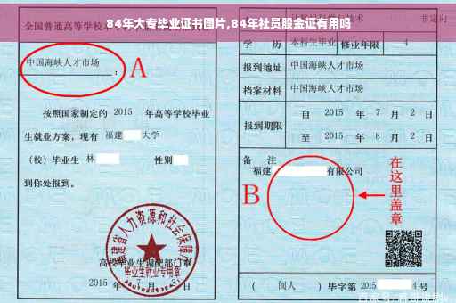 84年大专毕业证书图片,84年社员股金证有用吗