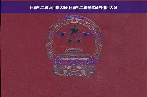 计算机二级证用处大吗-计算机二级考试证书作用大吗